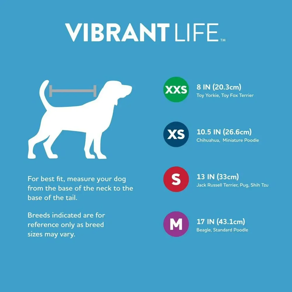 Vibrant Life Mommy's Favorite Pup Dog T-Shirt, Blue, Medium